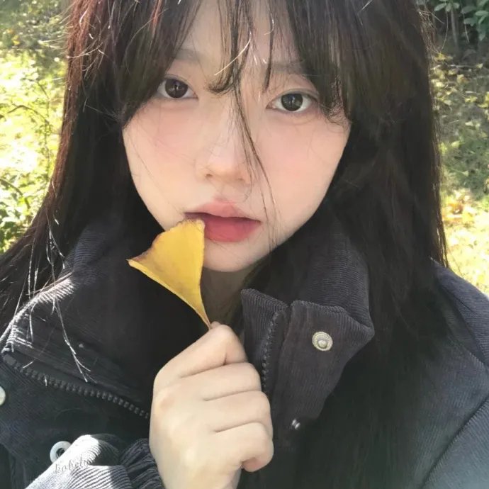 新还珠格格